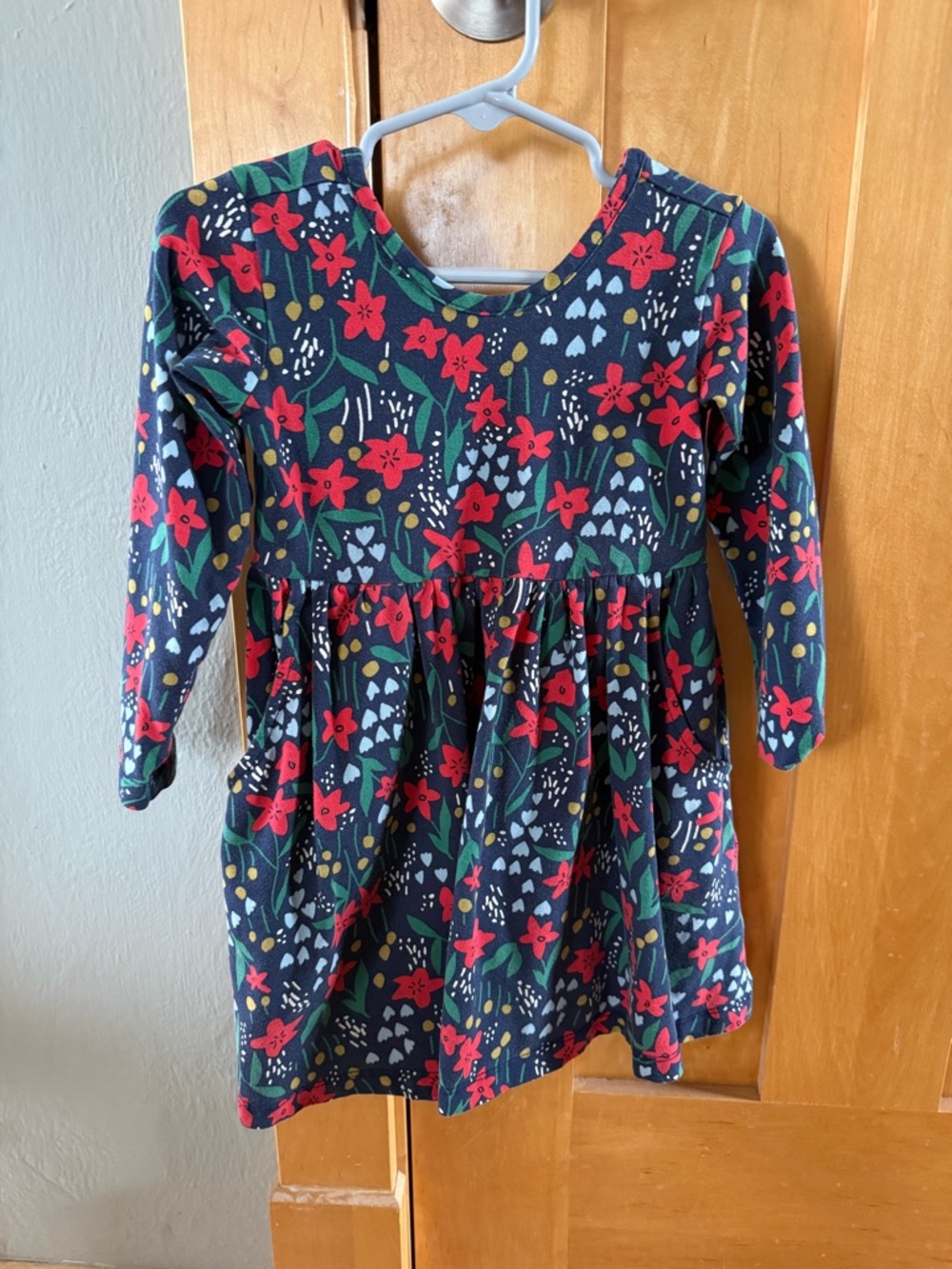 Hanna Andersson Navy Floral Long-Sleeve Dress with Red Flowers